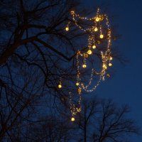 предновогоднее :: zavitok *