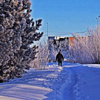 Зима в прибрежном парке! :: Владимир 