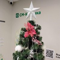 Звезда на ёлке :: Дмитрий Никитин Звезда на ёлке :: Дмитрий Никитин