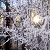 Мороз и солнце :: Елена Семигина Мороз и солнце :: Елена Семигина