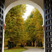 Врата в Историю...(Спасские (Задние) ворота , Коломенское),XVII в. :: Александр Герасенков Врата в Историю...(Спасские (Задние) ворота , Коломенское),XVII в. :: Александр Герасенков