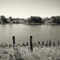 Фотография :: Денис Безногов