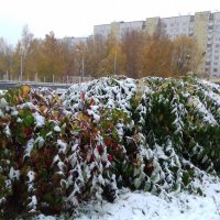 снег выпал :: Владимир 