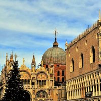 Новогодняя ель на Площади Святого Марка :: Aida10 Новогодняя ель на Площади Святого Марка :: Aida10