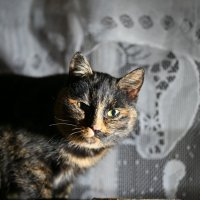 Мамка :: Вадим 