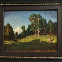 Сосновый лес с речкой :: Ирина Соловьёва Сосновый лес с речкой :: Ирина Соловьёва