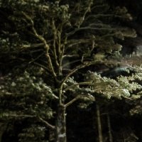 МОЙ ДЕКАБРЬ :: HART BAD