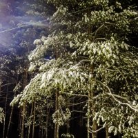 МОЙ ДЕКАБРЬ :: HART BAD