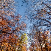 ОСЕНЬ ДЕМЕРДЖИ :: Sergey Bagach ОСЕНЬ ДЕМЕРДЖИ :: Sergey Bagach