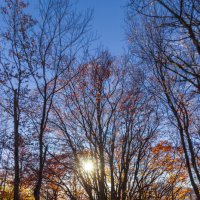 ОСЕНЬ ДЕМЕРДЖИ :: Sergey Bagach