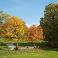 Краски осени :: Татьяна Тюменка Краски осени :: Татьяна Тюменка