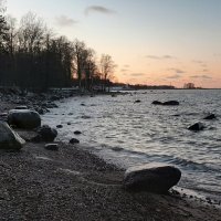 Финский залив :: Наталья Герасимова Финский залив :: Наталья Герасимова