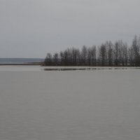 озеро Сестрорецкий разлив :: zavitok *