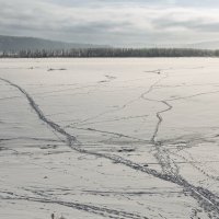 У каждого свое место :: Виктор Иванович Чернюк