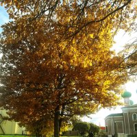 Осень :: Сергей Кочнев