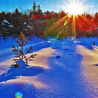 Январь...Морозный закат в тайге! :: Владимир Январь...Морозный закат в тайге! :: Владимир