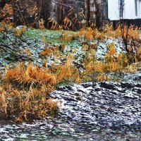 Снежный декабрь :: Юрий Гайворонскiий