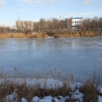 прошлогодний декабрь :: Елена Шаламова прошлогодний декабрь :: Елена Шаламова