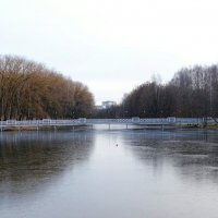 Зима в декабре. :: Милешкин Владимир Алексеевич Зима в декабре. :: Милешкин Владимир Алексеевич