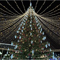 Ёлка. :: Валерия Комова