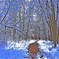 ЗИМА :: Юрий Владимирович 34