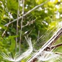 Невесомость :: Марина 