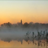 Утро. :: Александр. AVG100 ---