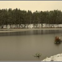 *** :: Aleksandr Gal *** :: Aleksandr Gal