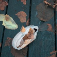 Возвращение :: liudmila drake Возвращение :: liudmila drake