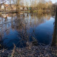 Январским утром... :: Николай Гирш