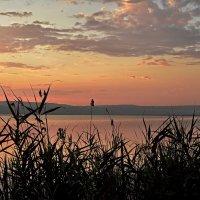 На небе розовый рассвет  пробился между облаками... :: Надежда Куркина 