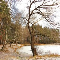 Возле пруда :: Андрей Снегерёв Возле пруда :: Андрей Снегерёв