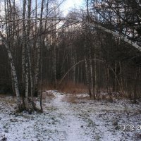 без названия :: fogmeadowww m