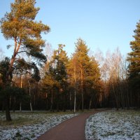 Парк Александрия :: Наталья Герасимова