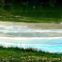 Кто то вылил краску в пруд :: Натали 