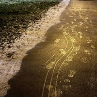 Наследили…) :: Любовь 