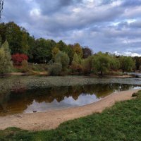 Один день в октябре-2023 в Лосином острове :: Андрей Лукьянов Один день в октябре-2023 в Лосином острове :: Андрей Лукьянов