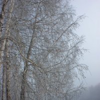 Туманный рассвет на реке Карасук :: Галина Нестратова