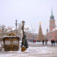 По дороге к Рождеству :: Alexandеr P