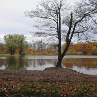 Озеро Лесное, Калининград :: Рита Симонова