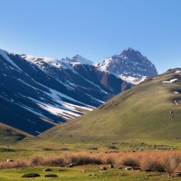 Предгорья :: Галина Ильясова Предгорья :: Галина Ильясова