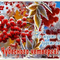 С ДОБРЫМ УТРОМ ! :: Валентина Надсон