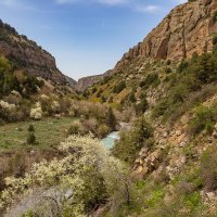 Казахстан. Каньон Аксу. :: Андрей Щукин