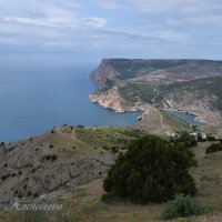 Природа Крыма :: Amazing Cosmea
