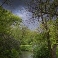 Протока. :: Александр. AVG100 ---