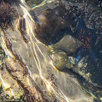 Блики :: Марина Блики :: Марина