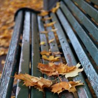 Когда то осень приглашала посидеть... :: Лилия * Когда то осень приглашала посидеть... :: Лилия *