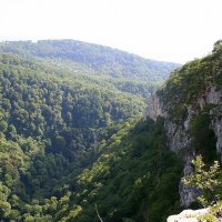 АХШТЫРСКОЕ УЩЕЛЬЕ СОЧИ :: Tata Wolf