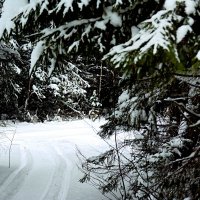 *** :: Александр *** :: Александр