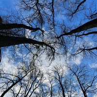 Небо :: Рустам Кашапов